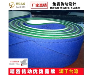 特殊皮帶 (17)
