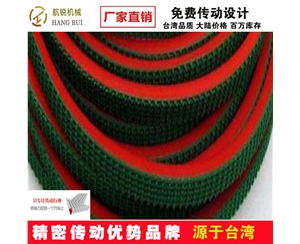 特殊皮帶 (19)