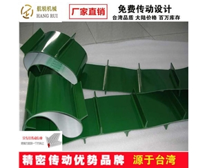 特殊皮帶 (20)