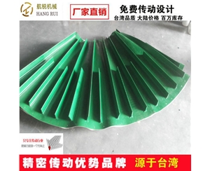 特殊皮帶 (6)
