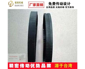 特殊皮帶 (10)