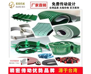 特殊皮帶 (13)